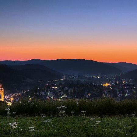 Drei Tannen - Wohnung 11 - Apartmenthaus, Titisee, Feldberg Exteriör bild