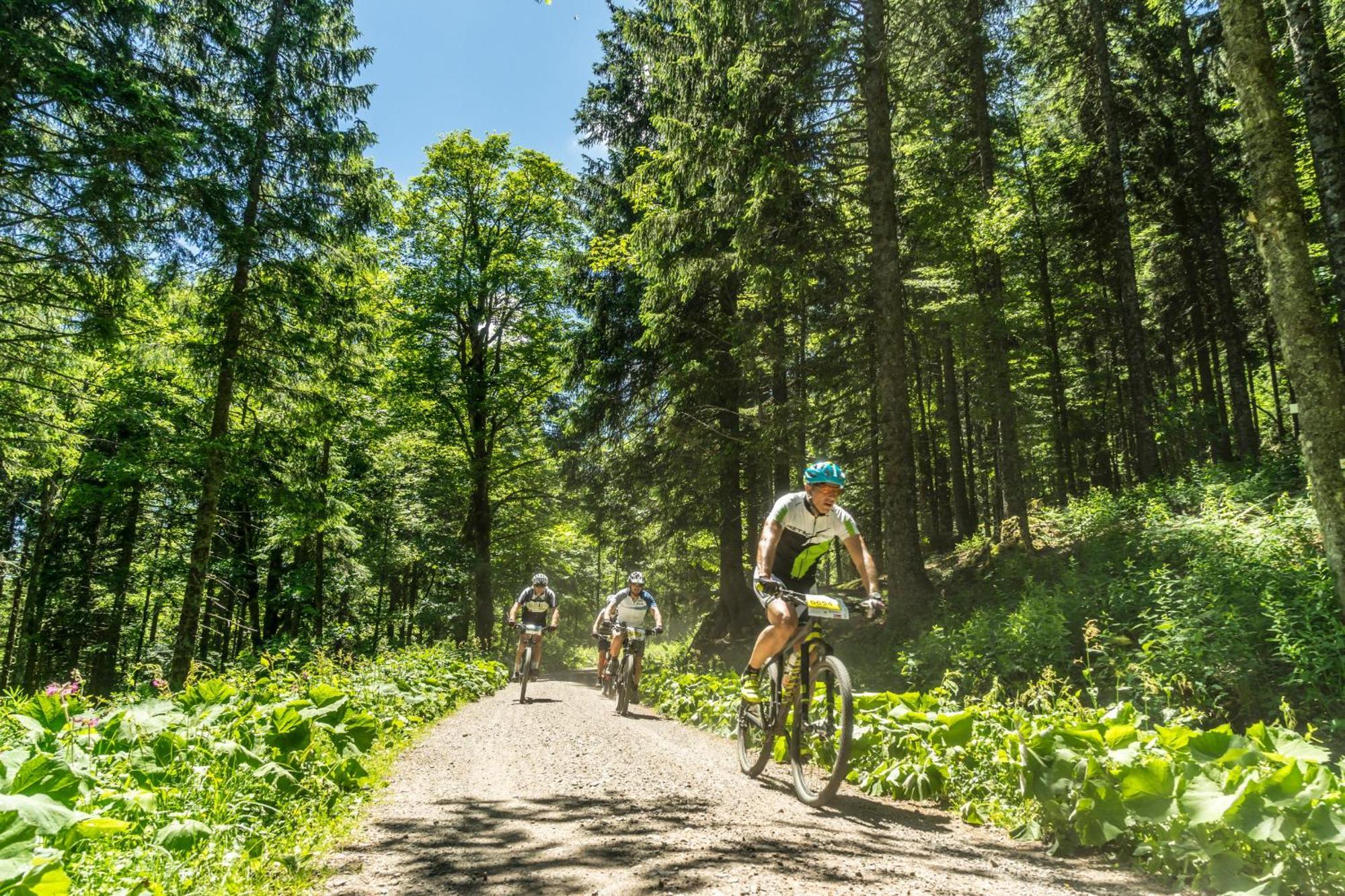 Drei Tannen - Wohnung 11 - Apartmenthaus, Titisee, Feldberg Exteriör bild